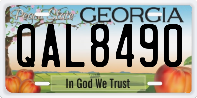 GA license plate QAL8490
