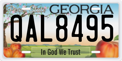 GA license plate QAL8495