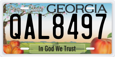 GA license plate QAL8497