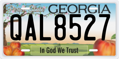 GA license plate QAL8527