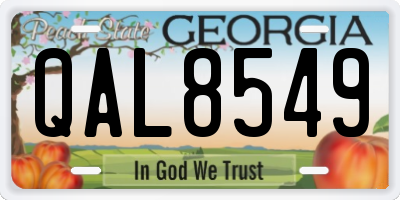 GA license plate QAL8549