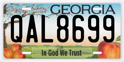 GA license plate QAL8699
