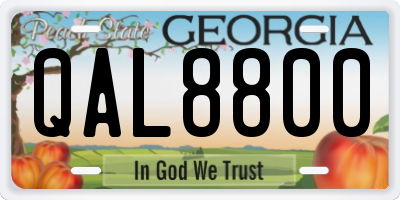 GA license plate QAL8800