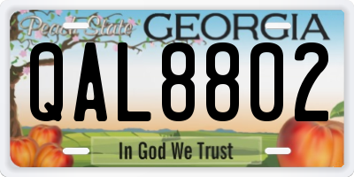 GA license plate QAL8802