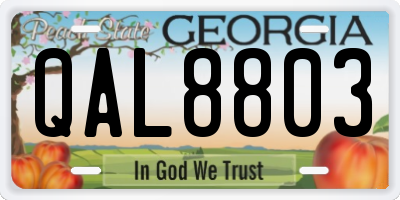 GA license plate QAL8803