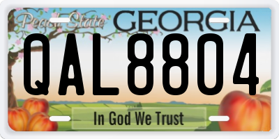 GA license plate QAL8804