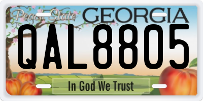 GA license plate QAL8805