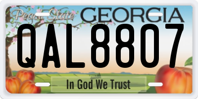 GA license plate QAL8807