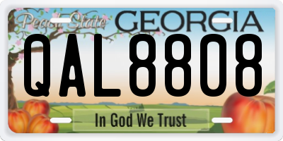 GA license plate QAL8808