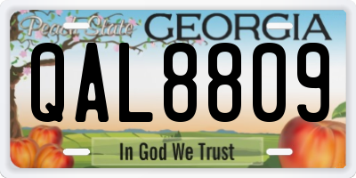 GA license plate QAL8809