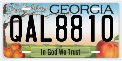 GA license plate QAL8810