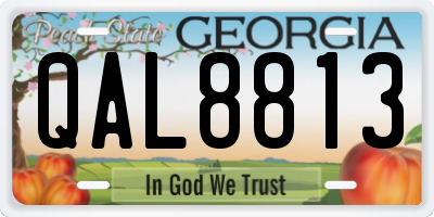 GA license plate QAL8813