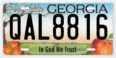 GA license plate QAL8816