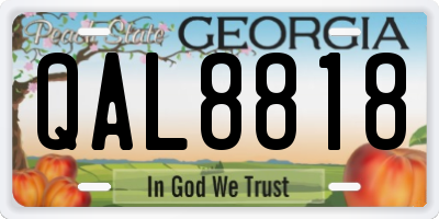 GA license plate QAL8818