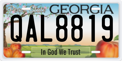 GA license plate QAL8819