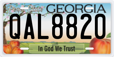 GA license plate QAL8820