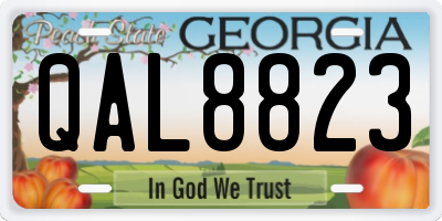 GA license plate QAL8823