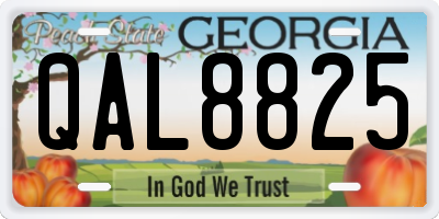 GA license plate QAL8825