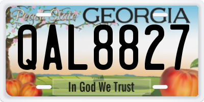 GA license plate QAL8827