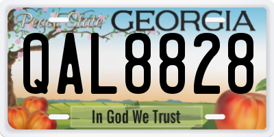 GA license plate QAL8828