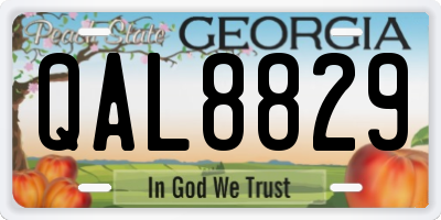 GA license plate QAL8829