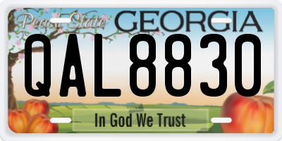 GA license plate QAL8830