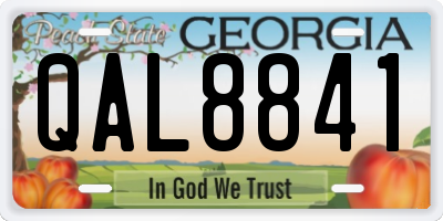 GA license plate QAL8841