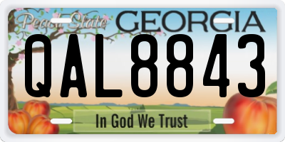 GA license plate QAL8843