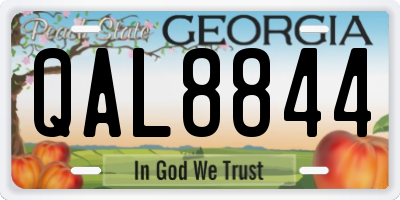 GA license plate QAL8844