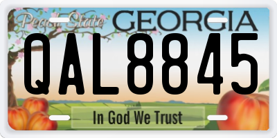 GA license plate QAL8845