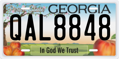 GA license plate QAL8848