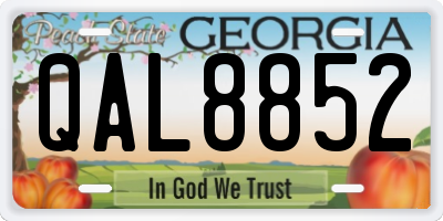 GA license plate QAL8852