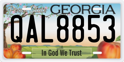 GA license plate QAL8853