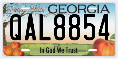 GA license plate QAL8854