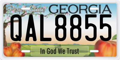 GA license plate QAL8855