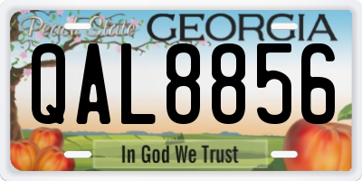 GA license plate QAL8856