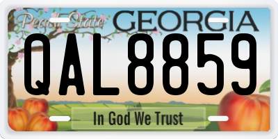 GA license plate QAL8859