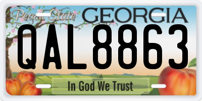 GA license plate QAL8863