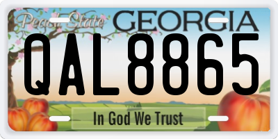 GA license plate QAL8865