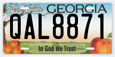 GA license plate QAL8871