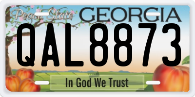 GA license plate QAL8873