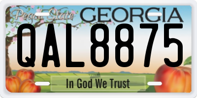 GA license plate QAL8875