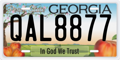 GA license plate QAL8877