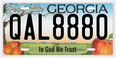 GA license plate QAL8880