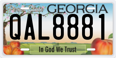 GA license plate QAL8881