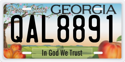 GA license plate QAL8891