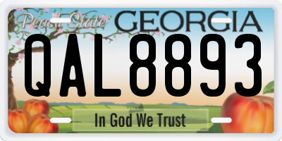 GA license plate QAL8893