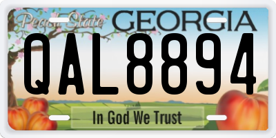 GA license plate QAL8894