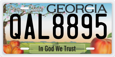 GA license plate QAL8895