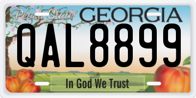 GA license plate QAL8899